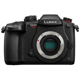 Системный фотоаппарат Panasonic Lumix GH5S в аренду