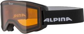 Очки горнолыжные Alpina 2021-22 Narkoja Black/Orange S2 в аренду